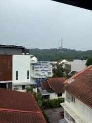 Binjai Park (D21), Semi-Detached #467691081